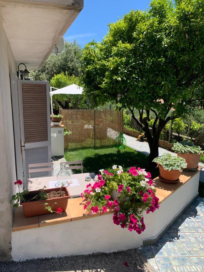 B&B Blanda Maratea Kültér fotó